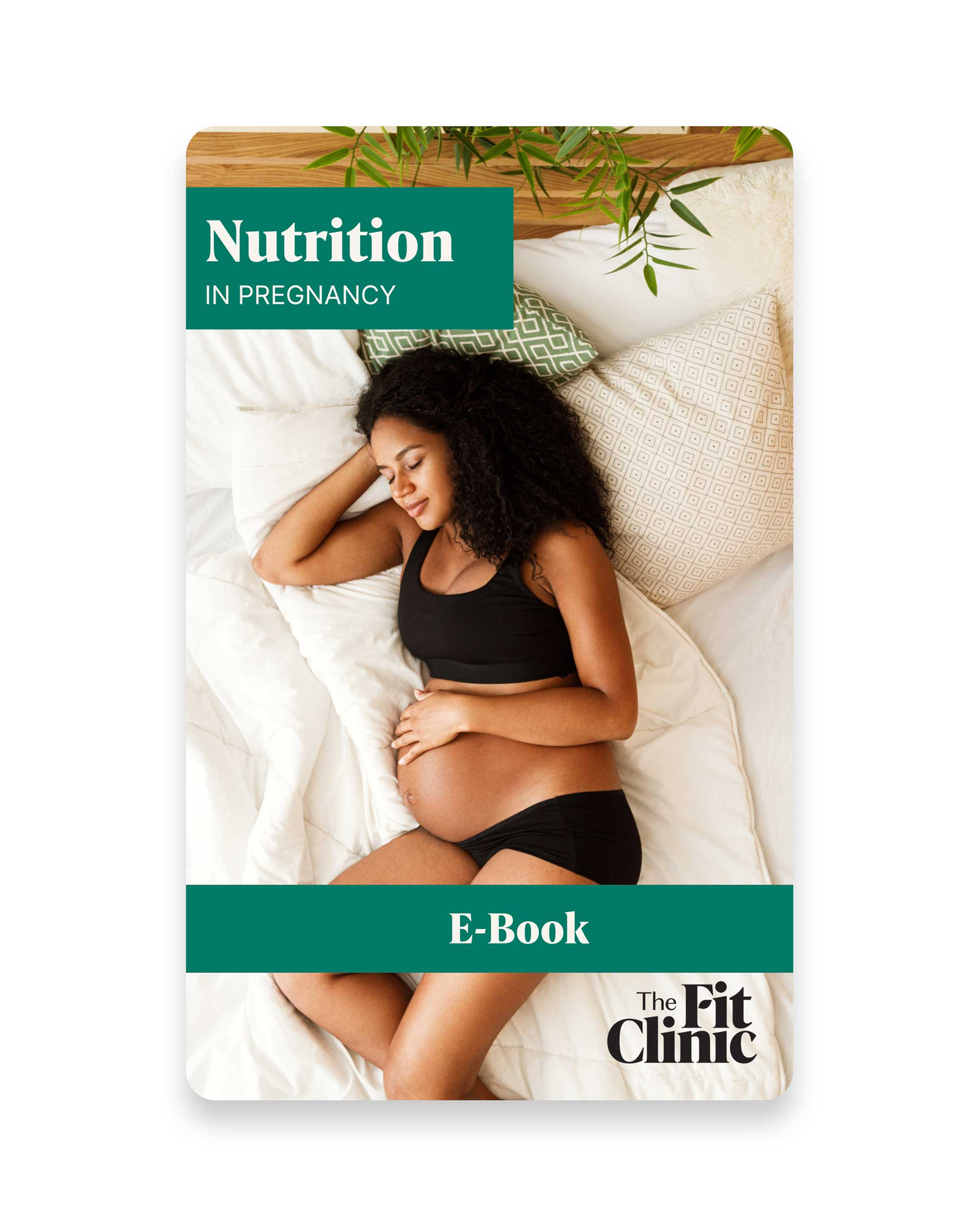 Nutrition for Pregnancy e-Book